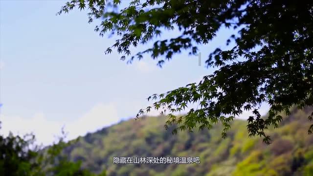 意媒：森西的转会将在意超杯后敲定，莱斯特城与国米周三会谈